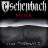 Feuer (feat. Thomas D.)