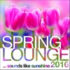 Spring Lounge 2016-Continuous Mix