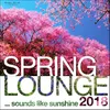 Grounge Lounge-Spring Lounge Mix