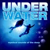 Choralis-Underwater Flight Mix
