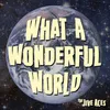 About What a Wonderful World Song