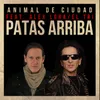 About Patas Arriba Song