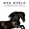 About Mad World (From the Lloyds Bank "For Your Next Step" T.V. Advert) Song