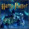 Hedwig's Theme Harry Potter Theme-Lullaby Rendition