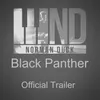 About Black Panther Trailer Song