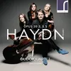 String Quartet in C Major, Op. 20, No. 2, Hob. III:32: III. Menuet & Trio