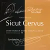 Sicut Cervus & Sitivit anima mea