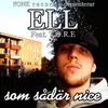 About Som Sådär Nice Song