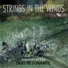 Strings in the Winds