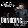 Bangding-Cheese Stank Remix