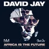 About Africa Is the Future Song