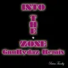 About Into the Zone-Gnurydaz Remix Song