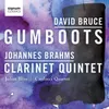 Clarinet Quintet in B Minor, Op. 115: III. Andantino