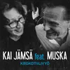 About Krokotiilivyö Song