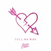 About Tell Me Why Song