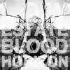 Blood Horizon