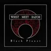About Black Planet Song