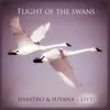 About Flight of the Swans-Live Song