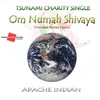 About Om Numah Shivaya-Tsunami Release Song