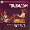 Suite In B-Flat Major, TWV 55B1 "Tafelmusik": IV. Coachmen