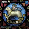 Agnus Dei for Bassoon and Mixed Choir A Cappella: I. Agnus Dei