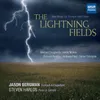 The Lightning Fields: III. Marfa Lights (U.S. Route 67, Marfa, Texas)