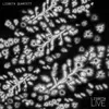 Light / No Light-Live