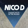 About Diamonds in the Rough Song