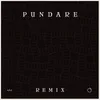 Pundare-Anthon Johansson Dope Remix