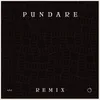 Pundare-Rapstep Remix