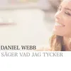 Säger vad jag tycker-Instrumental