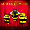 Som en humlebi-A capella version