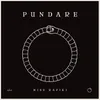 Pundare