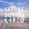 Ocean Sounds: Stress Free