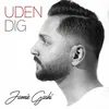 About Uden Dig Song