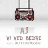 About Vi Ved Bedre Song