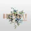 About Butterfly Song