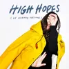 High Hopes-Of Norway Short Version