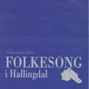 No vil me ut å gjete / I Hallingdal