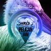 Pelican Jam