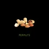 About Peanuts Song