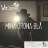 About Mina Gröna Blå Song