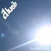 Sunshine-Defaulter Remix