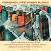 Samtal om västvensk musik. (Conversation in Swedish).