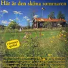 Gotländsk sommarnatt