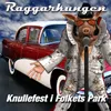 Knullefest i Folkets Park