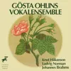 Zigeunerlieder, Op. 103: VII. Kommt dir manchmal in den Sinn