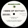 Vibes of Extacy-State of Elated Bliss Mix