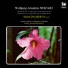 Piano Concerto No. 24 in C Minor, K. 491: II. Andante