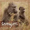 Serengeti